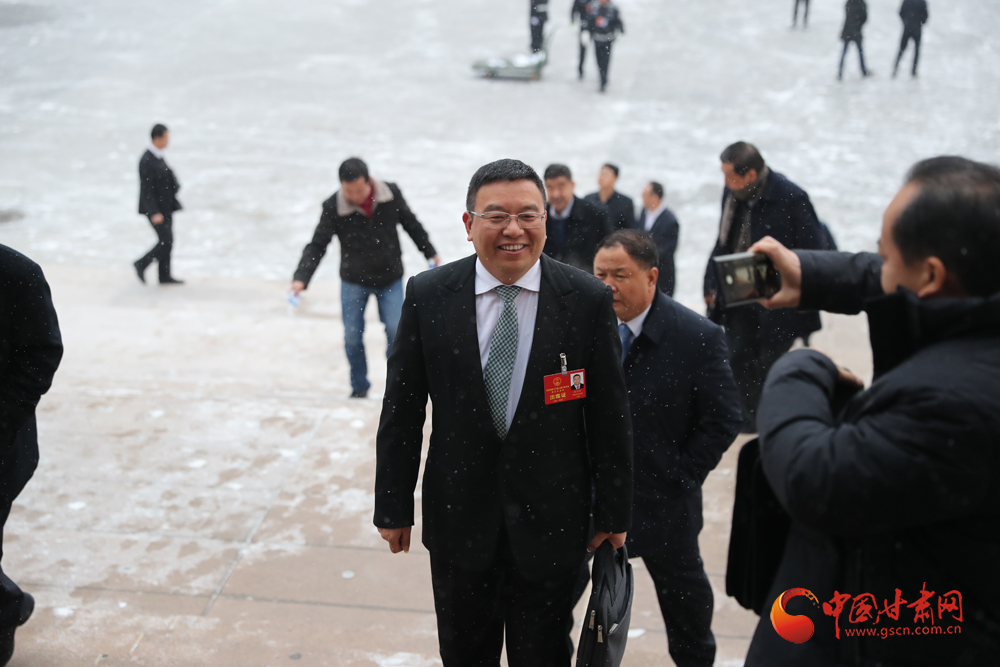 【聚焦2020甘肅兩會】“兩會”代表、委員風(fēng)采掠影（組圖）