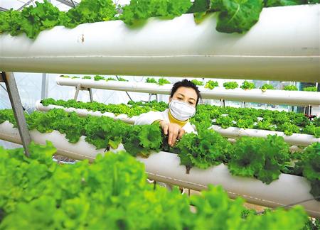 隴南市成縣：春耕生產有序開展