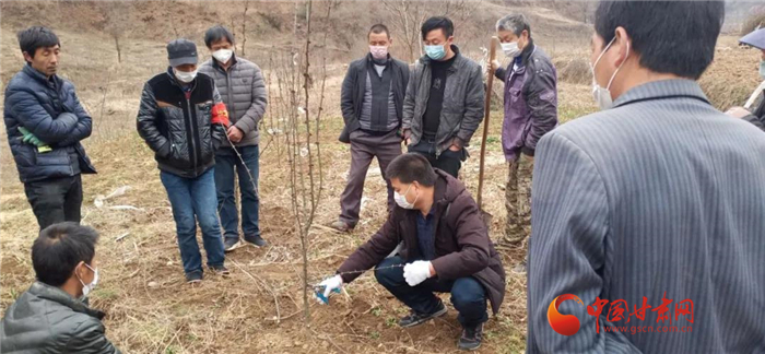 【甘肅全民戰(zhàn)“疫”】隴南徽縣：花椒田里培訓忙，戰(zhàn)疫春耕兩不誤