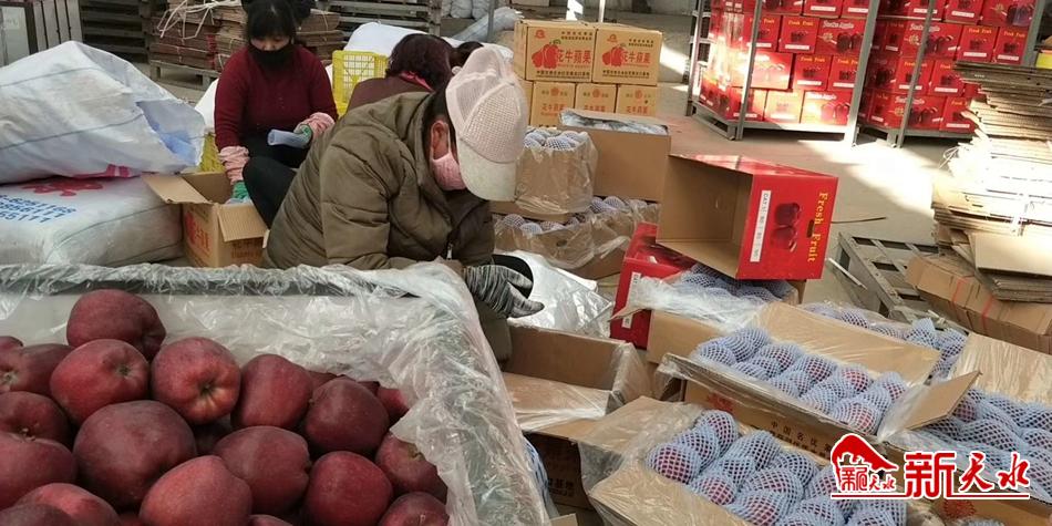 天水“花牛”最近有點(diǎn)“?！?>
        </a><em>天水“花?！弊罱悬c(diǎn)“牛”</em></li>
    <li><a  target=