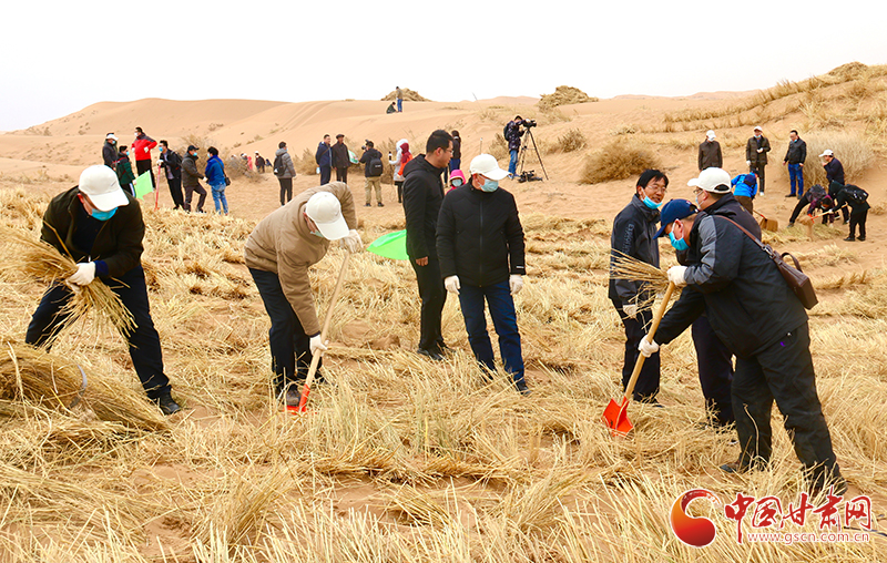 不“疫”樣的植樹節(jié)！甘肅省新聞戰(zhàn)線工作者攜手播綠“八步沙”（圖+視頻）