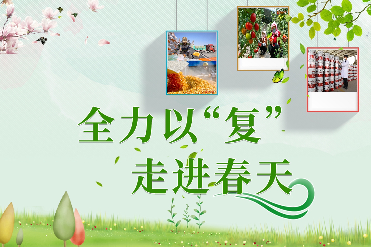 長圖|全力以“復”！甘肅走進春天里  