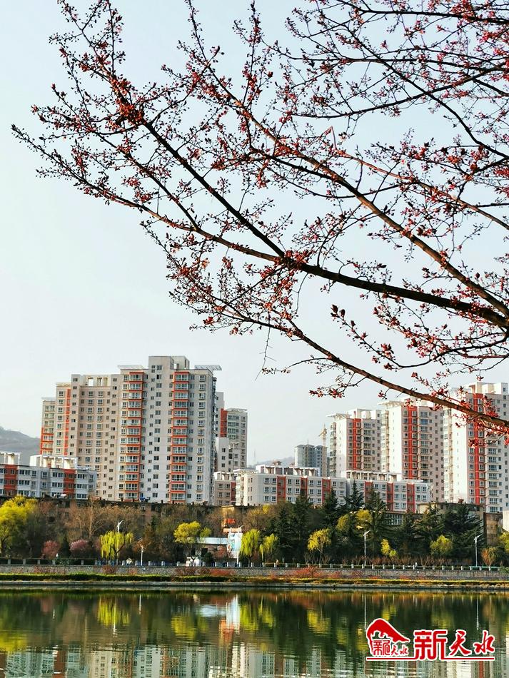 春天，古城天水的十個美麗瞬間