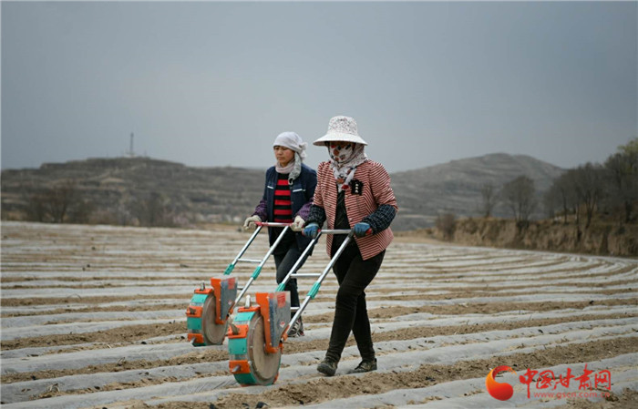 【甘肅省決戰(zhàn)決勝脫貧攻堅(jiān)】蘭州榆中：加快農(nóng)業(yè)產(chǎn)業(yè)轉(zhuǎn)型升級(jí)帶動(dòng)群眾增收致富