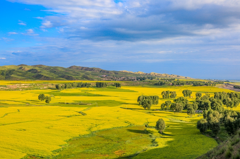 創(chuàng)意海報(bào)丨甘肅的美，你來了才知道