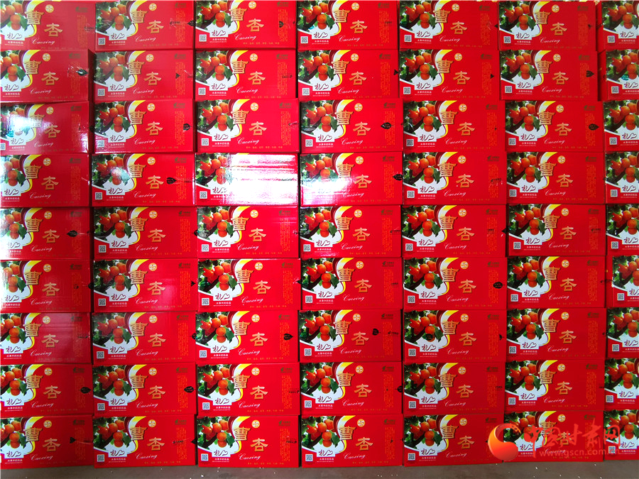 慶陽(yáng)寧縣曹杏搭載電商“順風(fēng)車(chē)”走四方（圖）