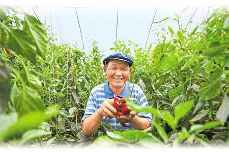 綠洲崛起新家園 ——古浪縣富民新村移民搬遷脫貧紀(jì)實