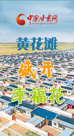 【跟著總書記看甘肅】長圖|武威黃花灘盛開幸?；?