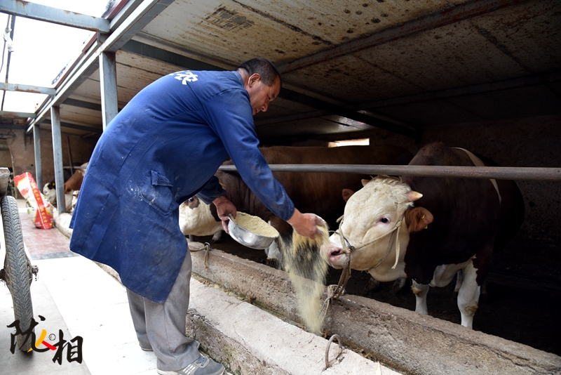 【隴人相】脫貧路上的實(shí)干家——“?！比笋R占清