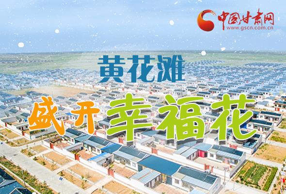 【跟著總書記看甘肅】長圖|武威黃花灘盛開幸?；?