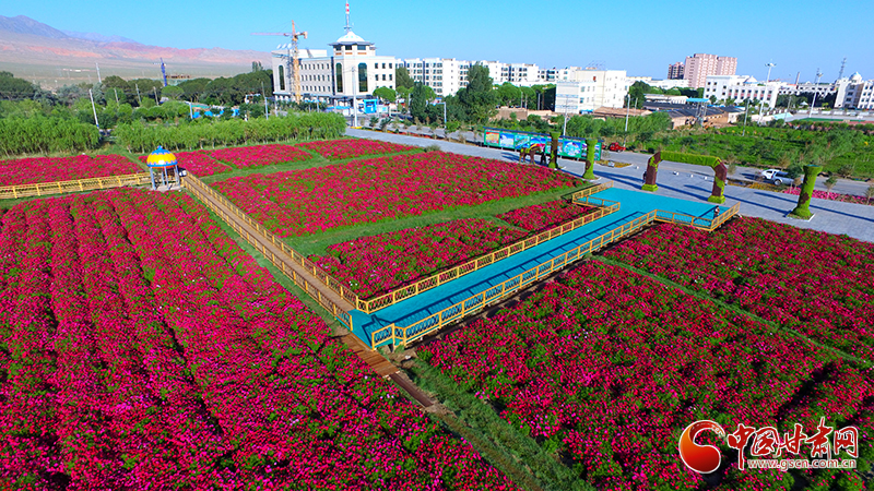【走向我們的小康生活】酒泉肅北：發(fā)展壯大綠色產業(yè) 打造魅力宜居城市