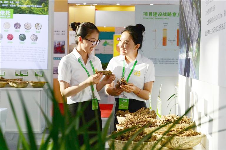 定西，從“千年藥鄉(xiāng)”邁向“中國藥都”