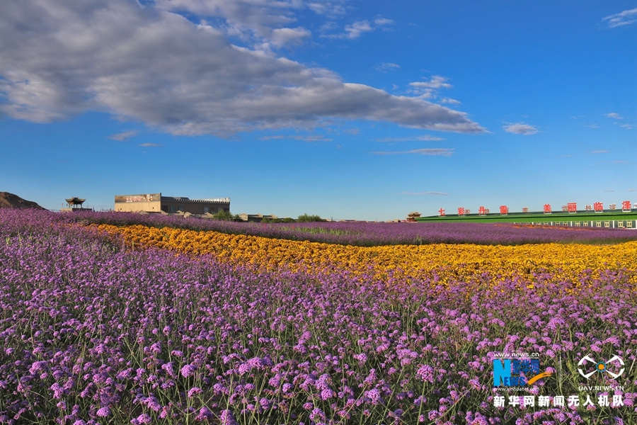 【“飛閱”中國】鳳凰花?！罢钩帷钡は伎?>
        </a><em>【“飛閱”中國】鳳凰花?！罢钩帷钡は伎?/em></li>
    <li><a  target=