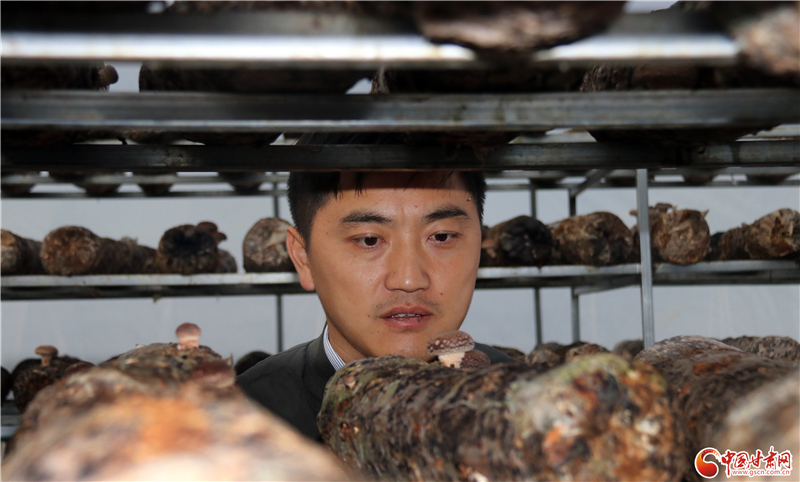 110年！何家溝村終于有了集體經(jīng)濟(jì)——中建二局黨建結(jié)對(duì)幫扶成效顯著