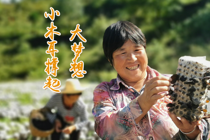 海報(bào)丨他們，乘“豐”破浪！