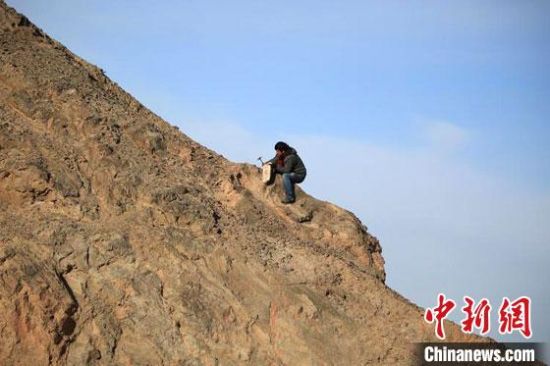 圖為敦煌“80后”畫家張杰龍在敦煌三危山里采集礦石顏料。(資料圖)受訪者供圖