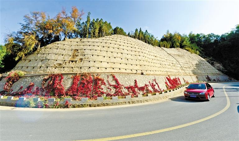 近90度陡坡上種樹！蘭州南北兩山綠化出新招