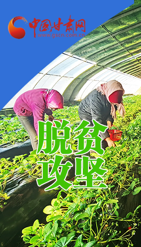 圖解|關于脫貧攻堅 書記省長這樣強調(diào)