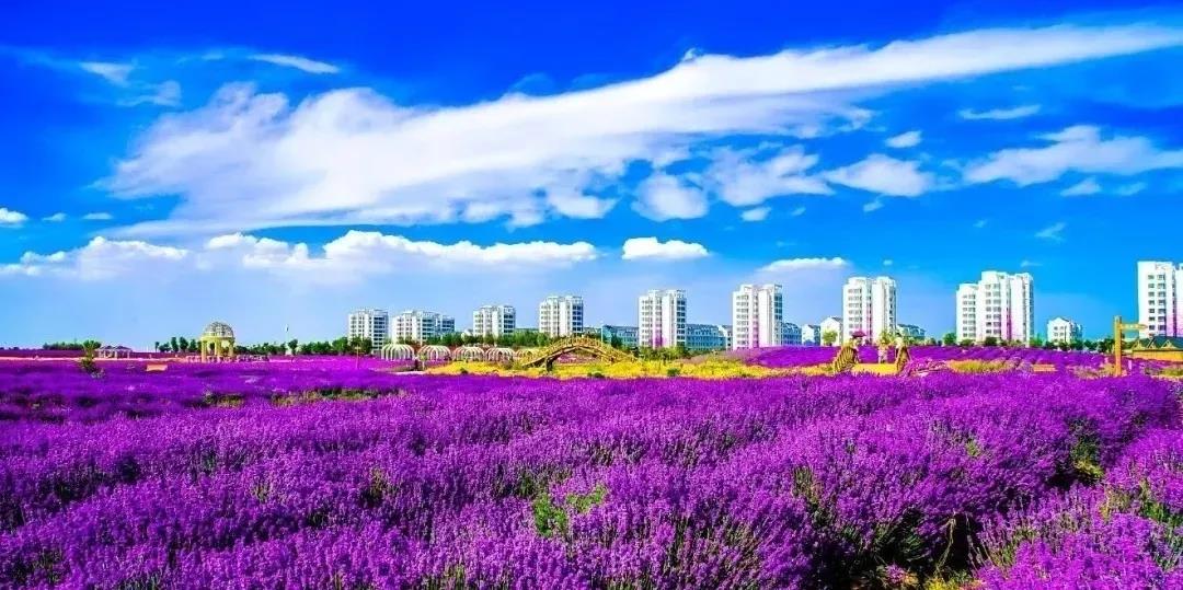 喜訊！金昌蟬聯(lián)全國(guó)文明城市