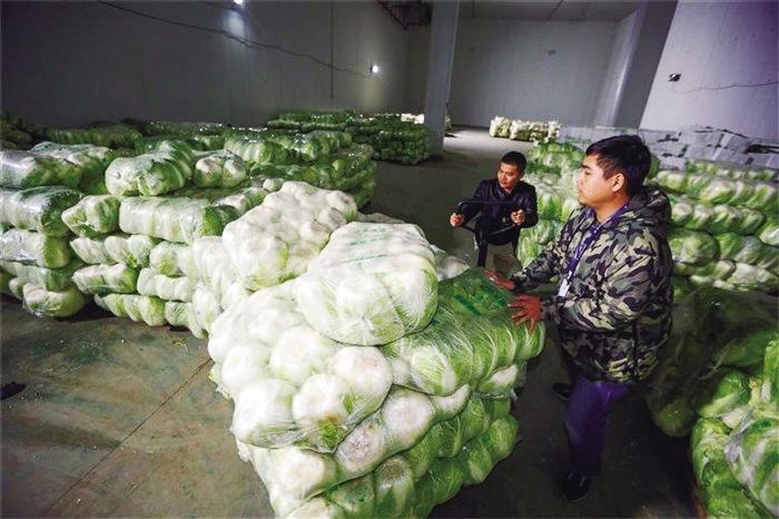 蘭州市已儲(chǔ)備1萬(wàn)噸冬春蔬菜以耐貯存、易周轉(zhuǎn)品種為主