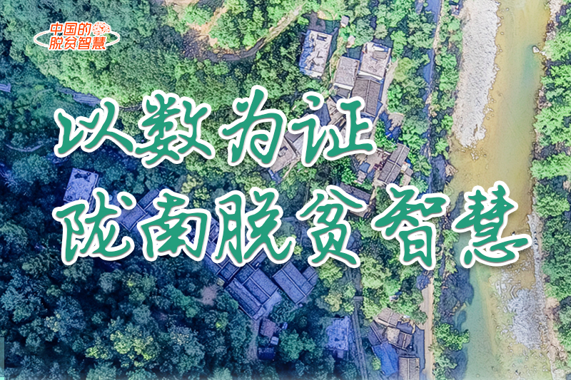 【中國的脫貧智慧】以數(shù)為證！隴南脫貧智慧來了！