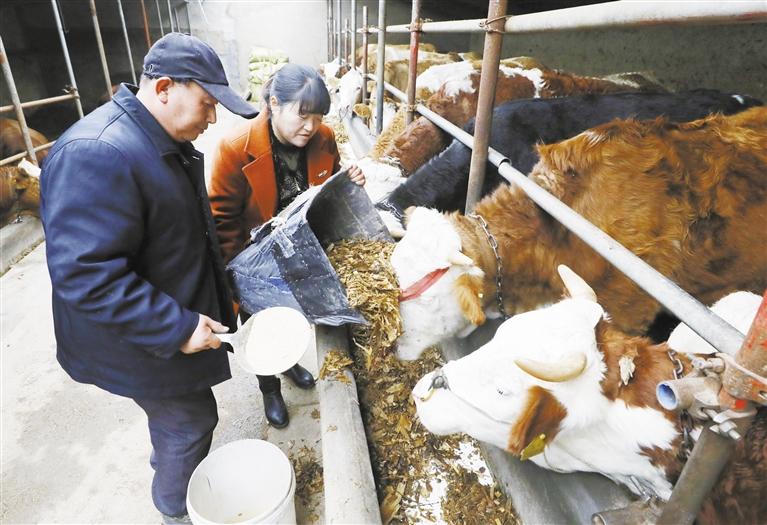 我和我的家鄉(xiāng)丨定西臨洮縣黨家墩村：“?！碑a(chǎn)業(yè)帶來“?！比兆?>
        </a><em>我和我的家鄉(xiāng)丨定西臨洮縣黨家墩村：“?！碑a(chǎn)業(yè)帶來“?！比兆?/em></li>
    <li><a  target=