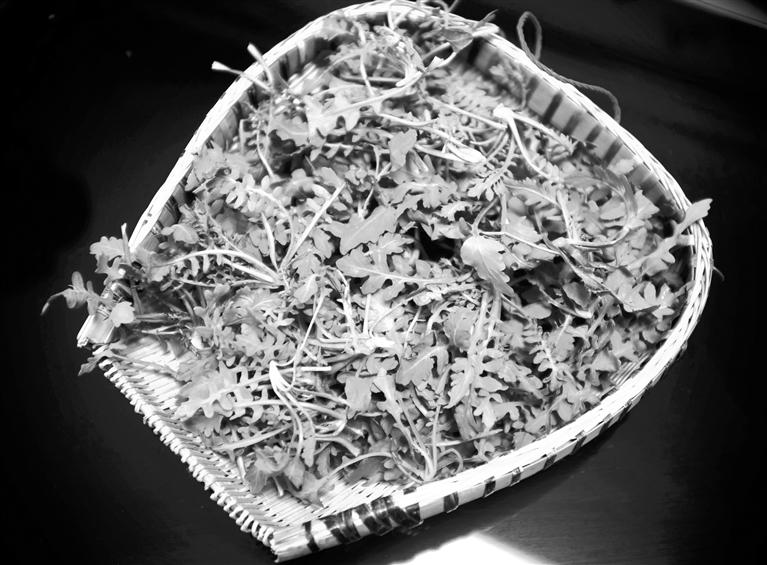 甘肅美食丨摘野菜，咬個(gè)“春”，讓味蕾清新起來