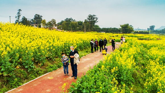 游客在花海里踏青。廖濤 攝