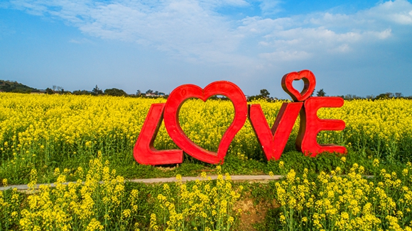 “l(fā)ove”創(chuàng)意拍照墻。廖濤 攝