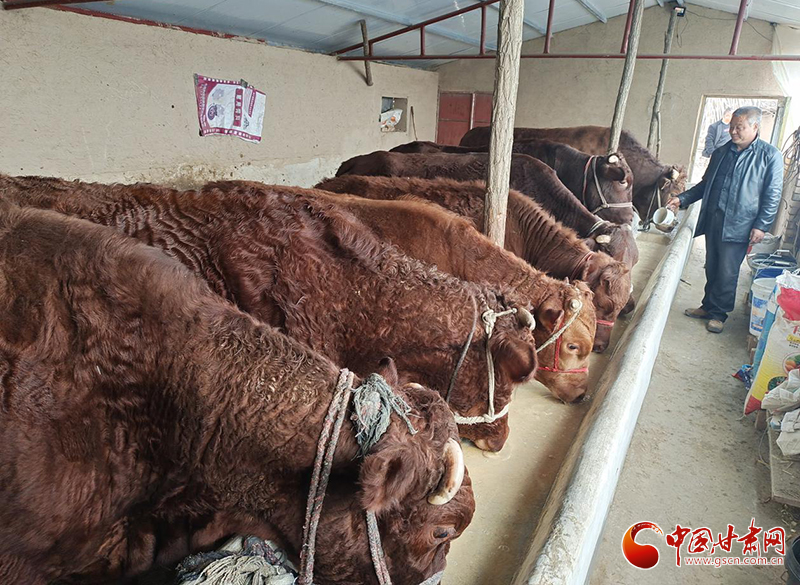 平?jīng)鰶艽ǎ骸芭！碑a(chǎn)業(yè)鋪就致富路