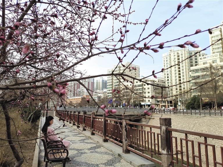 蘭州“第一朵花”開了！