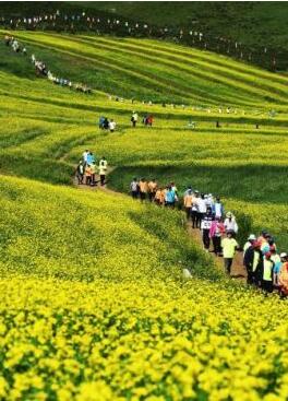 甘肅明確農(nóng)民進(jìn)城落戶(hù):不以退出承包地、林地等為條件