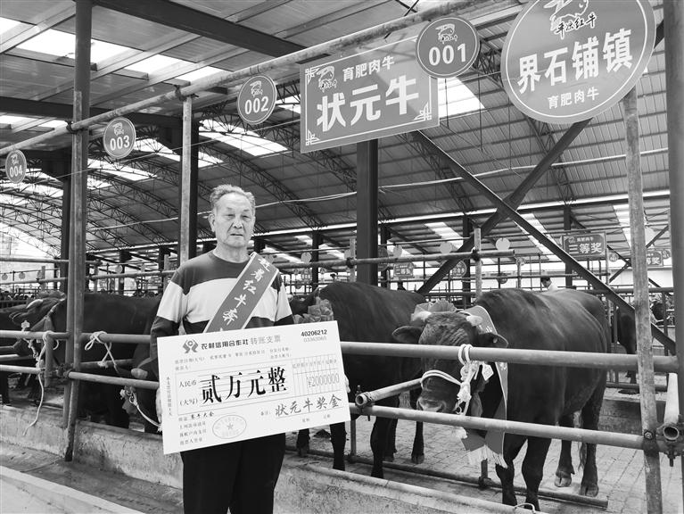 120頭“平?jīng)黾t?！膘o寧爭霸