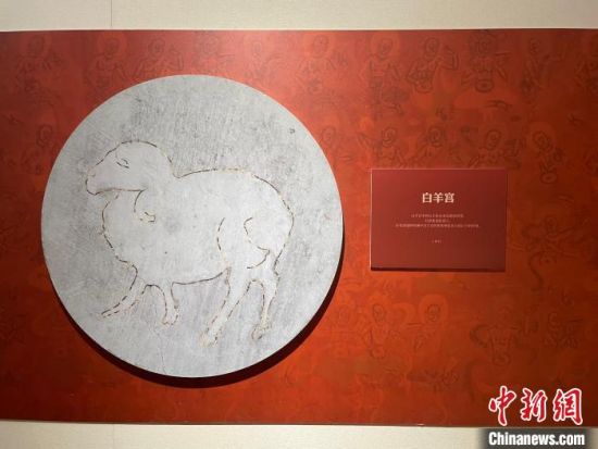 圖為展覽現(xiàn)場(chǎng)?！〗瓧顭?攝