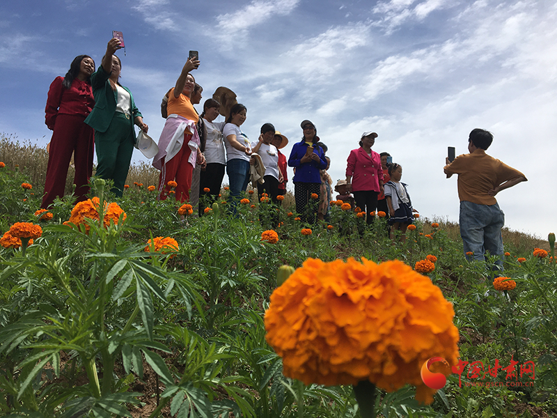 西和：美麗經濟為鄉(xiāng)村振興提質增速