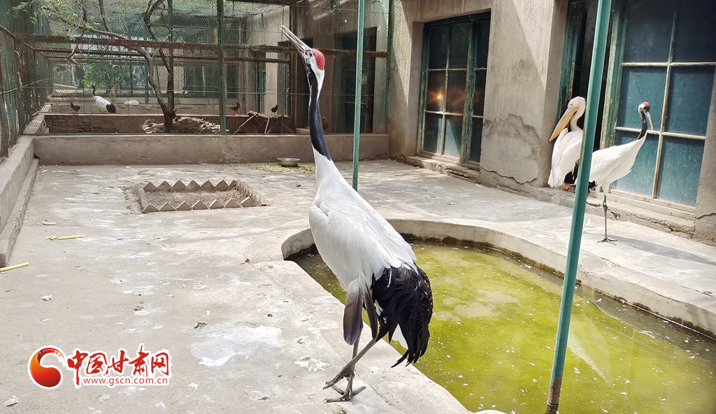 蘭州公安提醒市民：非緊急非必要，不出境