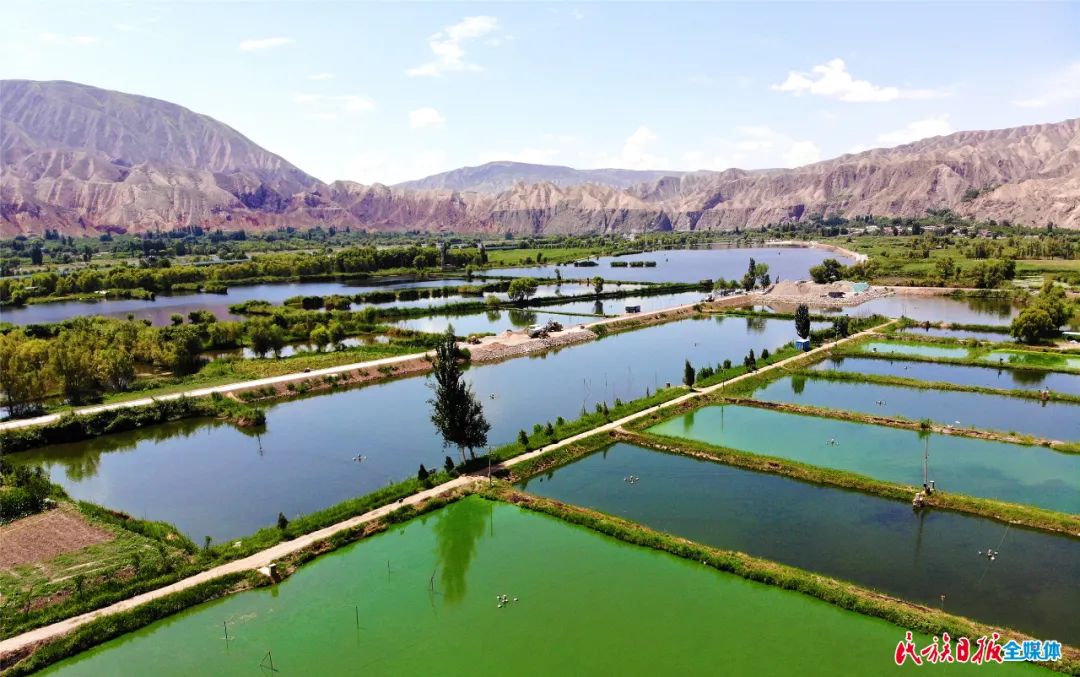 一秒入畫(huà)！太極島濕地風(fēng)光秀麗