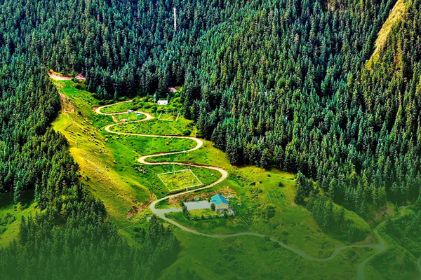 海報|祁連山保護(hù)區(qū)生態(tài)環(huán)境問題整改全面完成！