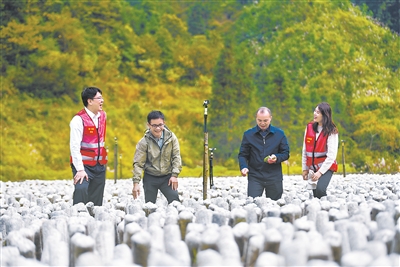 1637884617140203.jpg 9.jpg