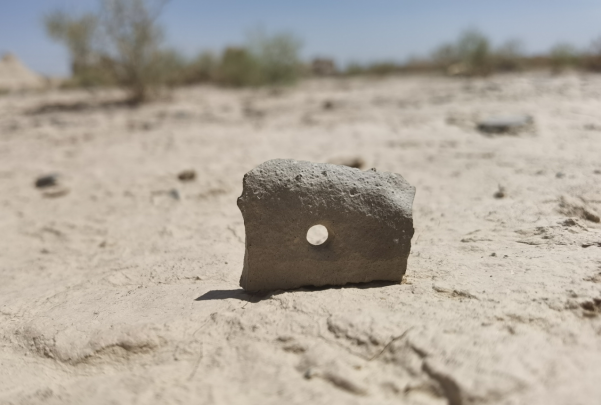 插圖1：河西走廊上遺存的古陶片。攝影：陳曉斌。拍攝日期：2020年6月。