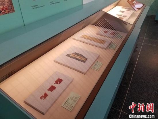 圖為展覽現(xiàn)場(chǎng)。　敦煌研究院供圖