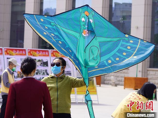 5月18日，甘肅省博物館為觀眾免費發(fā)放文創(chuàng)產品“綠馬飛俠”風箏?！?九美旦增 攝