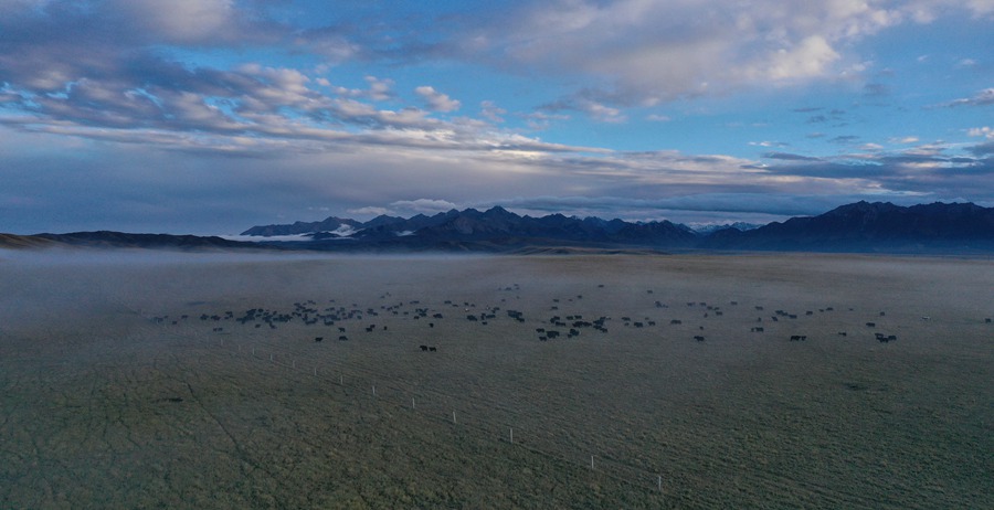 甘肅山丹馬場(chǎng)：峽谷云霧似仙境。 王超攝