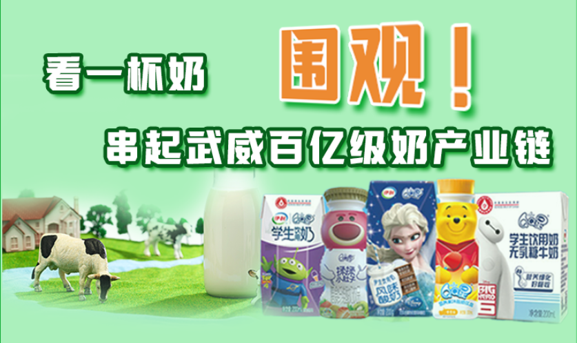 圖解|圍觀！看一杯奶串起武威百億級奶產業(yè)鏈
