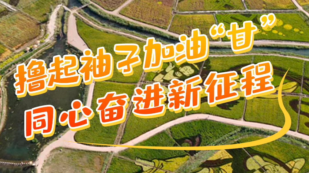 微海報|學(xué)報告 悟精神 擼起袖子加油“甘” 同心奮進新征程（五）