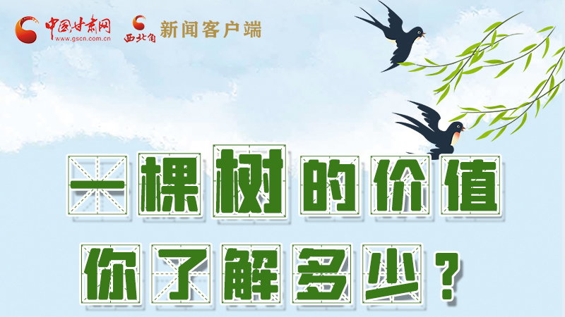 圖解|一棵樹(shù)的價(jià)值你了解多少?來(lái)看！