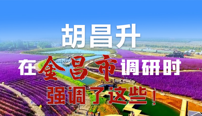 圖解|胡昌升在金昌市調(diào)研時強(qiáng)調(diào)了這些！