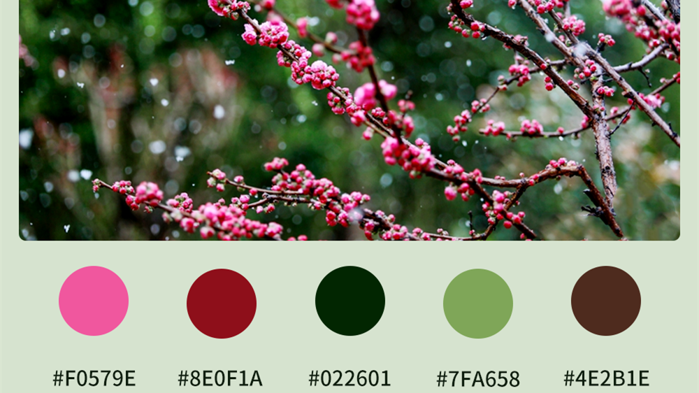 微海報|收藏！色卡里的春日甘肅