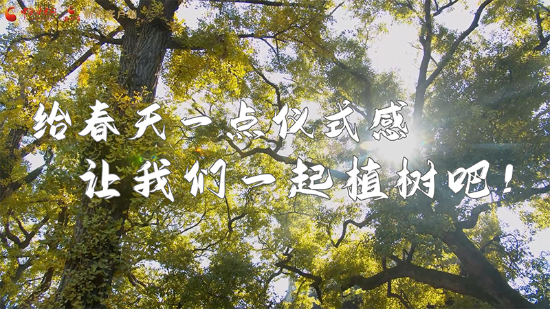 短視頻|給春天一點(diǎn)儀式感，讓我們一起植樹吧！