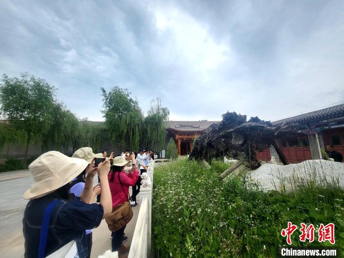 圖為媒體記者在青海永錄民俗參觀采訪?！⊙Φ?攝